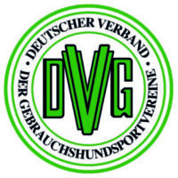 DVG Team Dingstede Logo